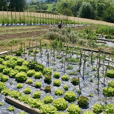 Caserio En Zona Rural Istilla Gasthof 3*