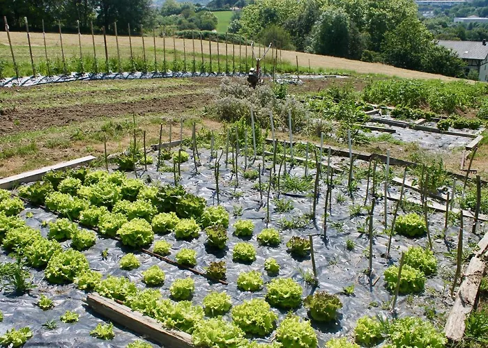 Caserio En Zona Rural Istilla Guest house 3*